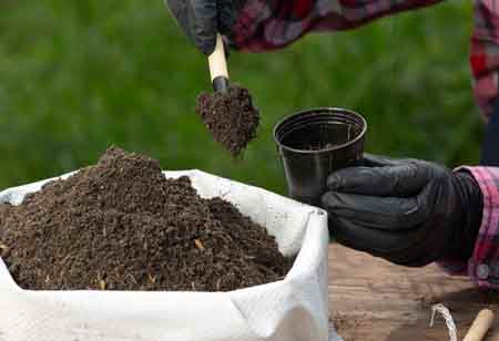 Global Crop Management Market — Comprehensive Analysis